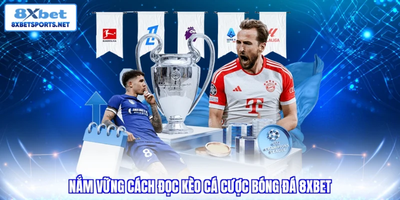 Nắm vững cách đọc kèo cá cược bóng đá 8XBET 